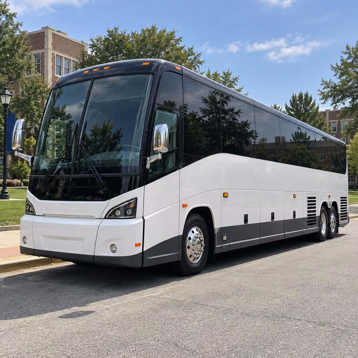 st clair shores prom homecoming transportation services